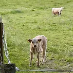 Apartamento Bergisch Josef