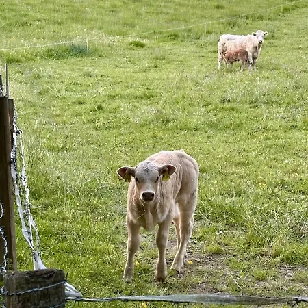 Apartament Bergisch Josef