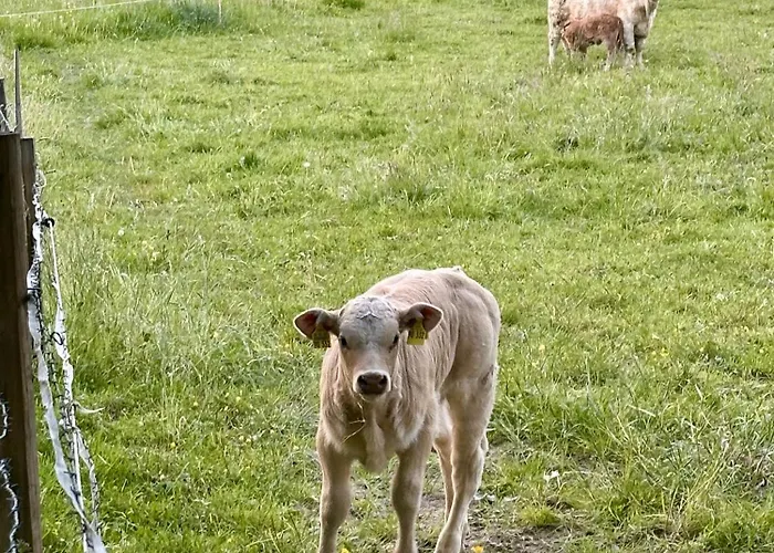 アパート Bergisch Josef